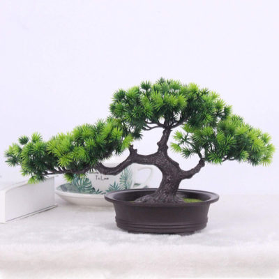 bonsai tree img20 400x400 - Бонсай в интерьере: селим и ухаживаем за японским чудом